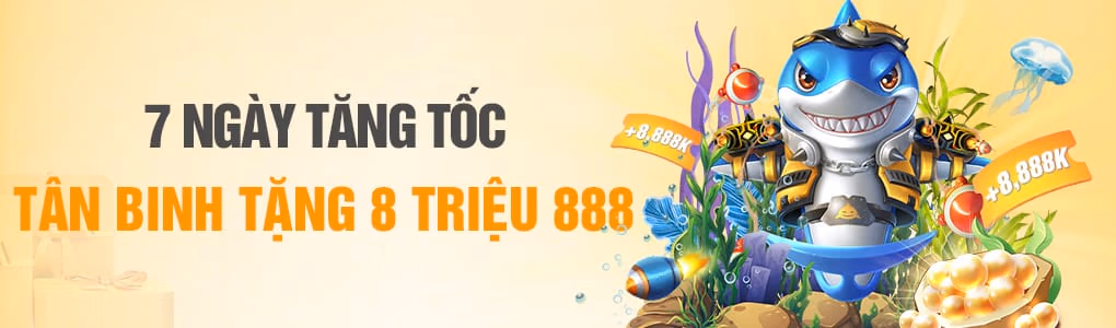 code 88nn08 hoàn cược